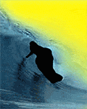 Surfer 0101